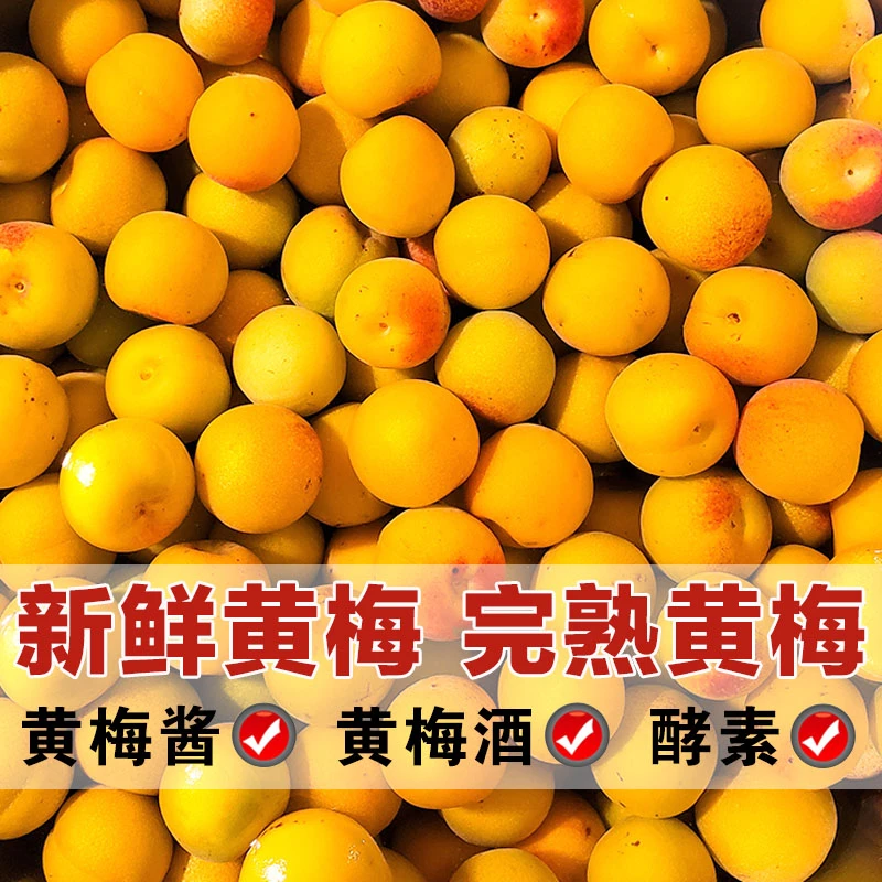 新鲜黄梅云南大理高山野生现摘完熟梅青梅果酸梅子胭脂红梅黄梅