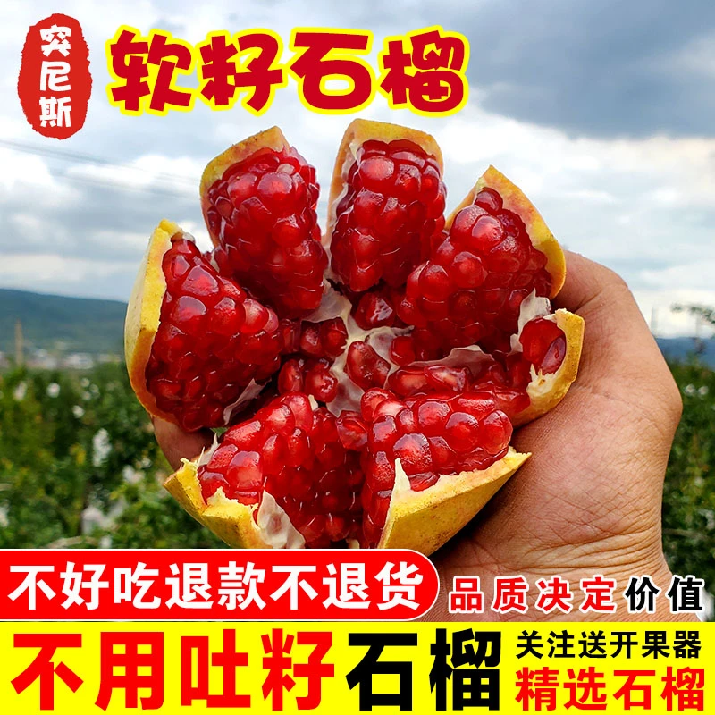 云南大理突尼斯软籽石榴现摘孕妇新鲜水果软子甜红石榴非无籽石榴