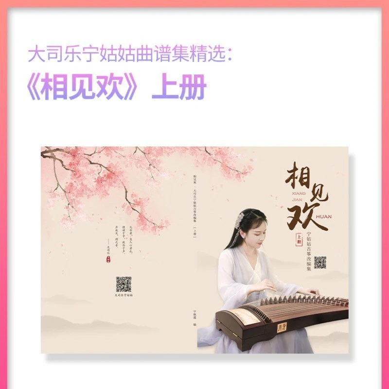 宁姑姑《相见欢·套餐》古筝