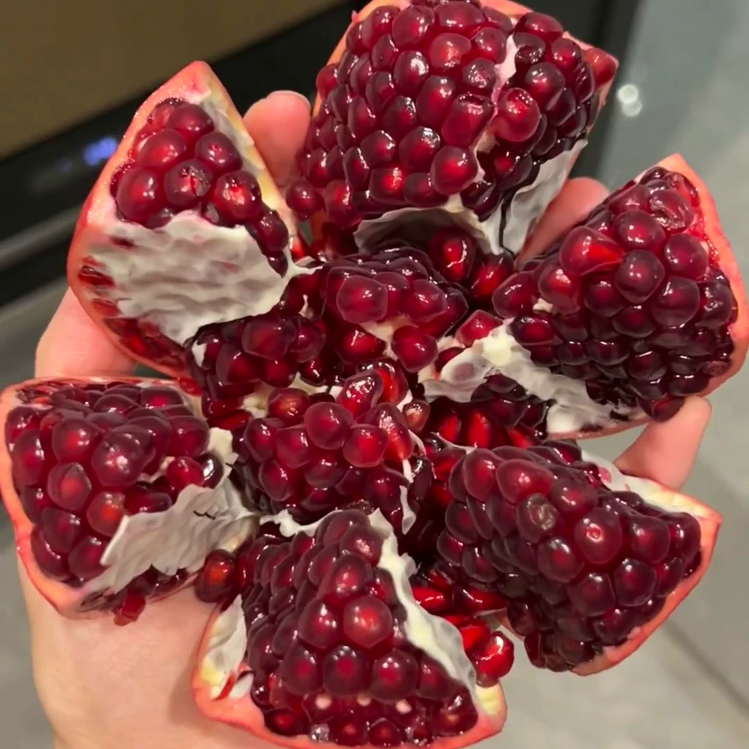 水果突尼斯软籽甜石榴树苗软籽产地直发顺丰包邮成活