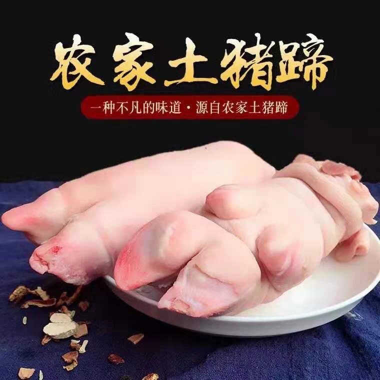 现杀新鲜整只带筋土猪蹄农家散养猪蹄子猪手前蹄香猪猪脚