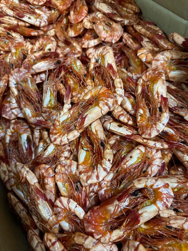 九节对虾-收到放急冻