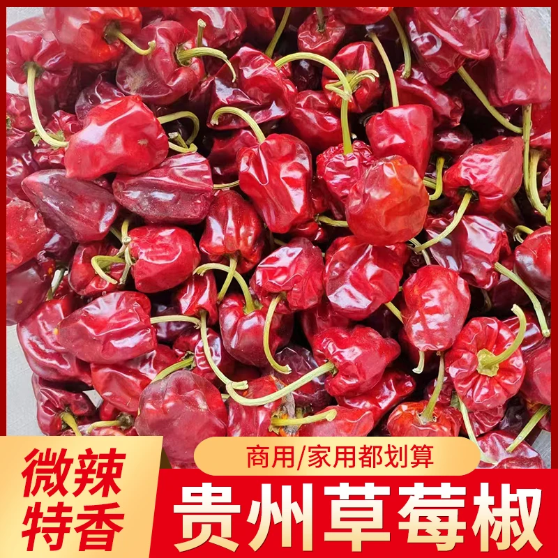 贵州遵义老品种农家高山种植灯笼椒——微微辣爆香