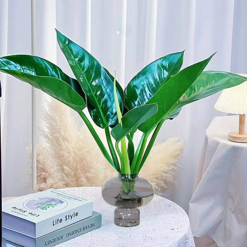 【2棵大叶金钻不带瓶】40-50cm室内好养护绿植办公桌客厅简约