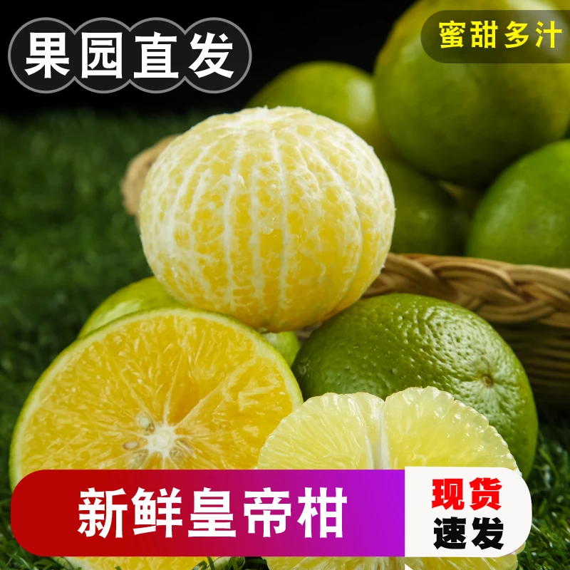 正宗广西皇帝柑新鲜水果整箱1/3/5/8斤蜜桔香甜橘子贡柑砂糖桔子