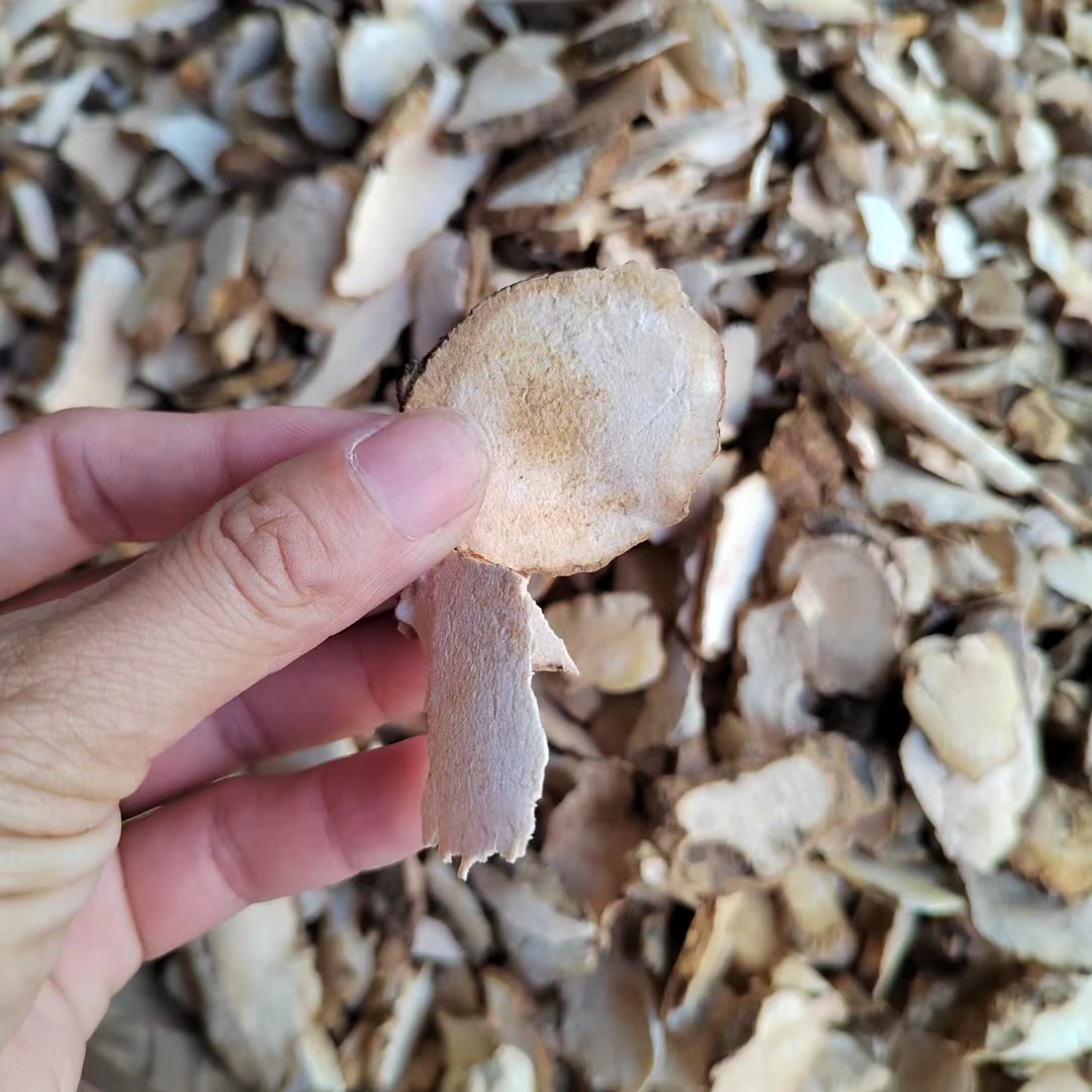 野生土伏伶 煲汤必备
