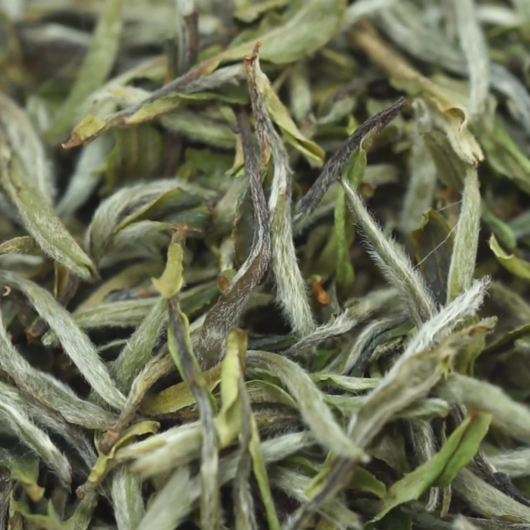 【2024年牡丹王】佛子山炭焙荒野牡丹王 | 政和白茶