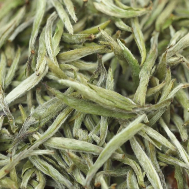 【2024年新茶】佛子山碳焙野放首日芽米芽银针 白毫银针|政和白茶