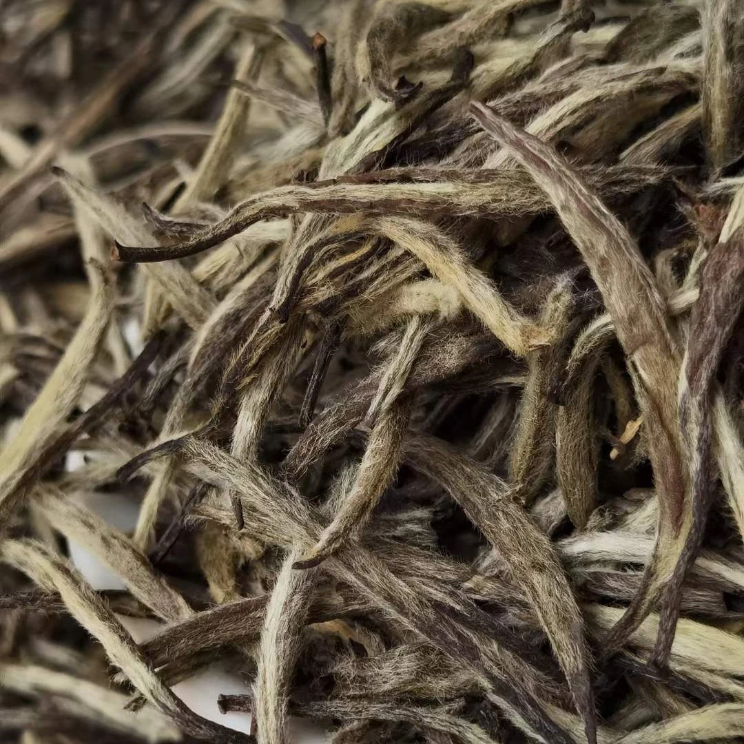 【石仔岭】2011年头春头采毫香蜜韵白毫银针|政和白茶