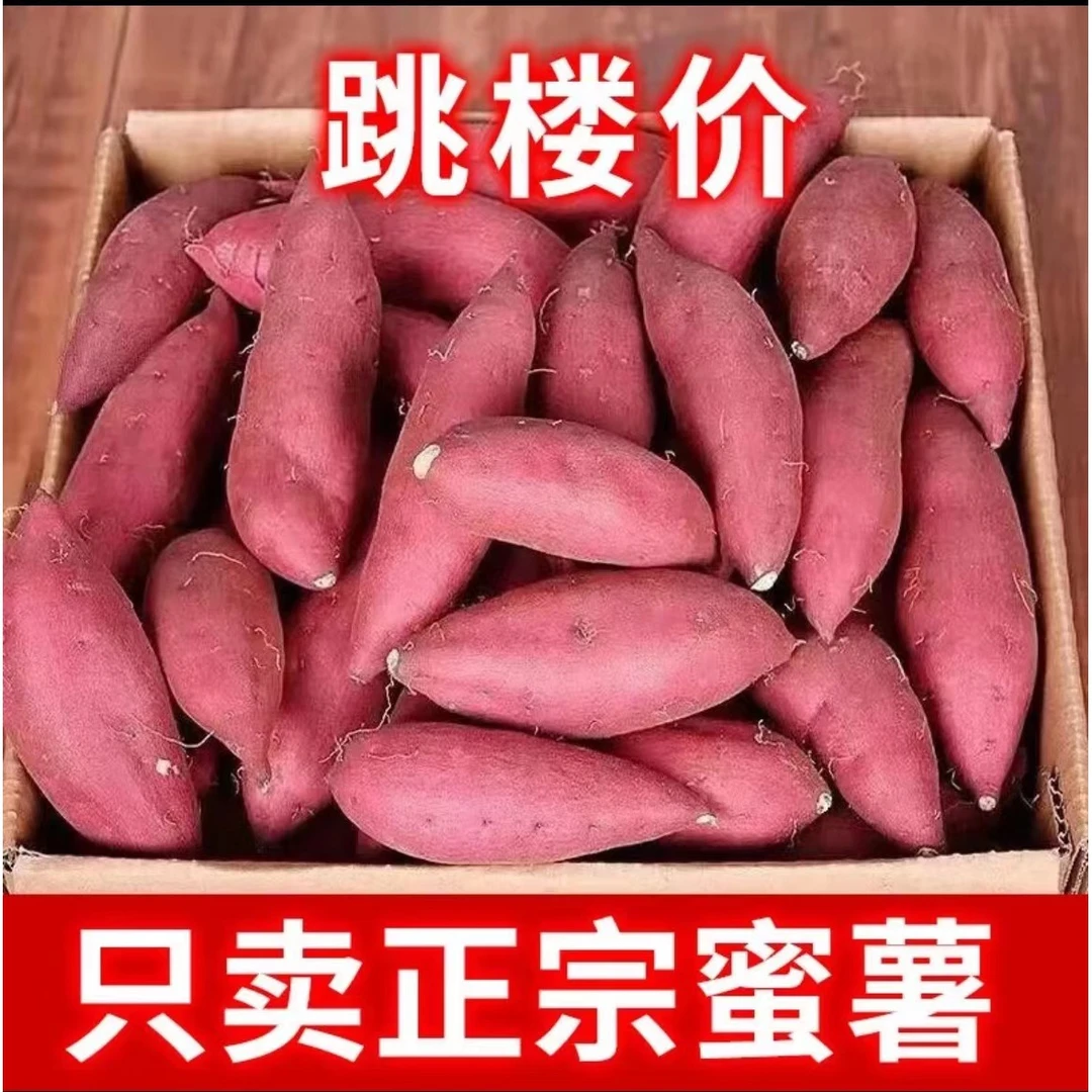 【超低价!】超甜沙地蜜薯1/5斤新鲜红薯地瓜番薯蔬菜沙地红薯香甜软