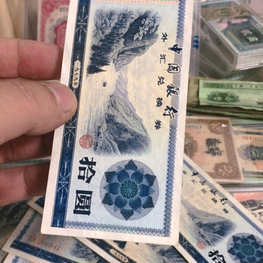 【闪购商品】纸币天**悟