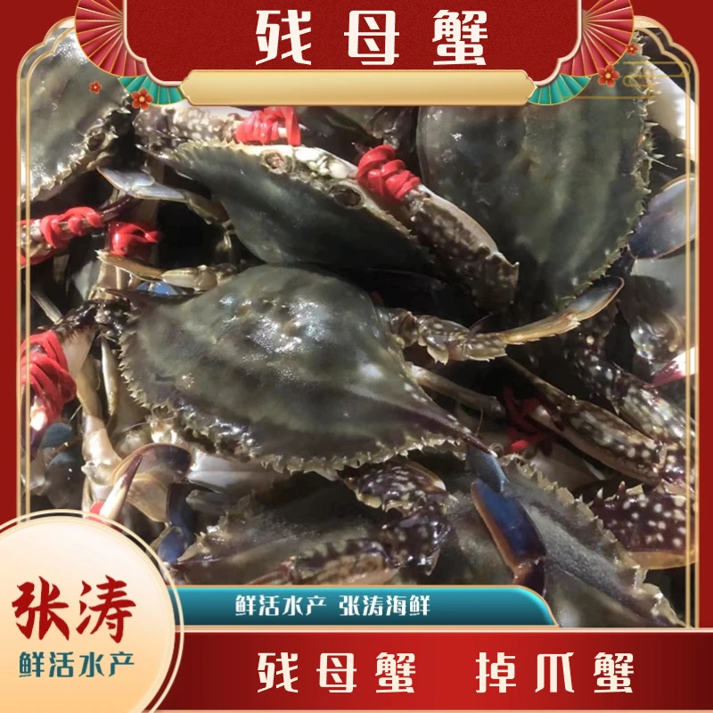 【海蟹】残母蟹 海产 天津张涛海鲜 2-8斤