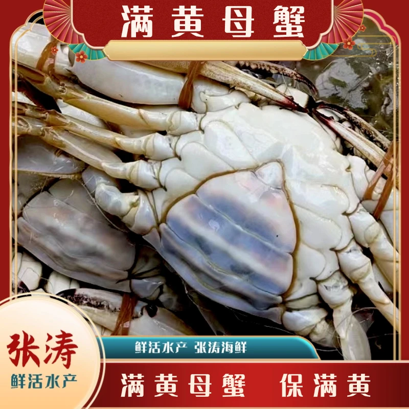 天津 本地满黄母蟹 海产2-5斤