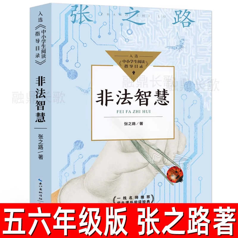 非法智慧 张之路著 中小学生阅读指导目录小学五年级六年级必读书