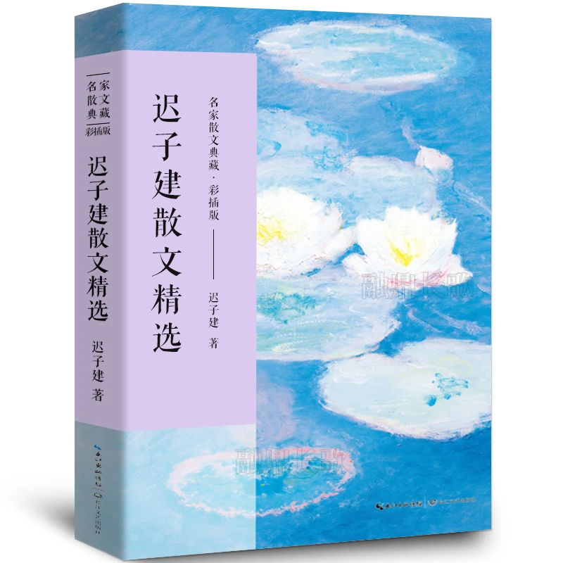 迟子建散文精选名家散文典藏散文集作品小说初高考生课外阅读书籍