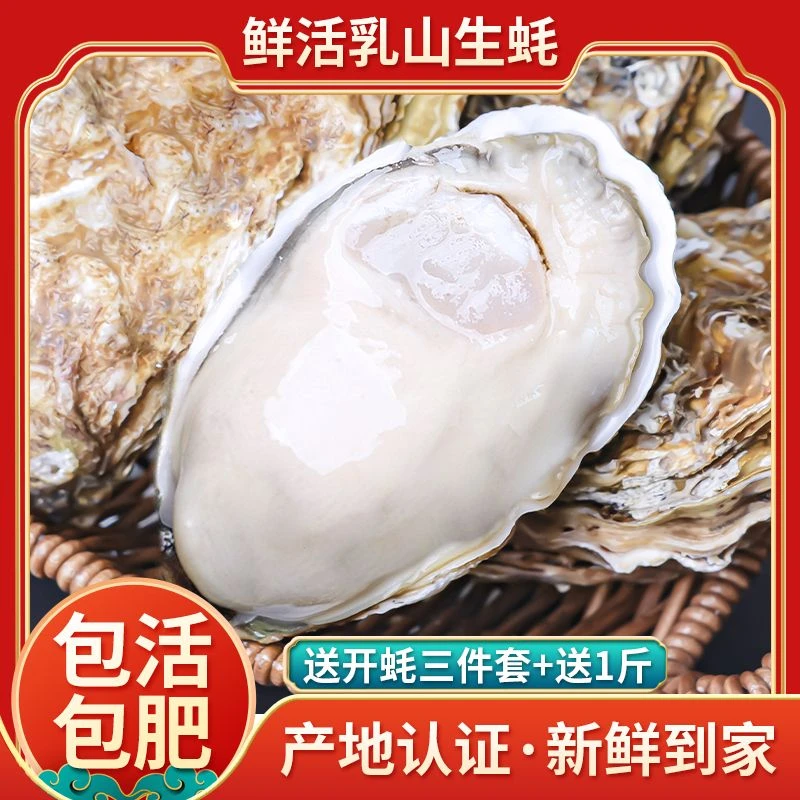 【5斤送1斤】正宗乳山生蚝原产地新鲜5斤 蒸大生蚝烤生蚝刺身海蛎子