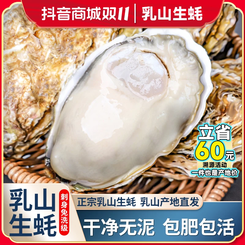 【偏远地区专拍】正宗鲜活乳山生蚝鲜活原产地新鲜牡蛎海鲜海蛎子