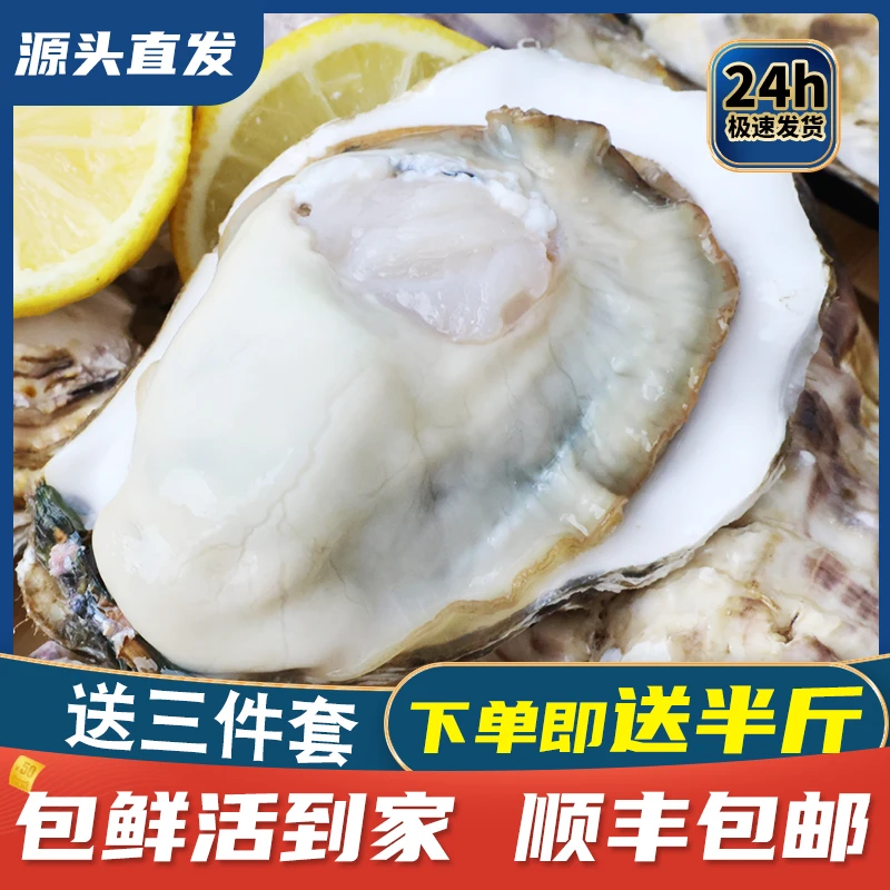 【包邮】正宗乳山生蚝鲜活原产地直发新鲜精品牡蛎生鲜海鲜5斤/箱