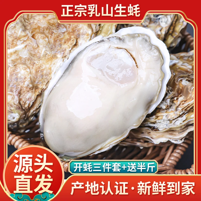 【家庭装4XL】乳山生蚝原产地新鲜海鲜水产海蛎子牡蛎精品 5斤/箱