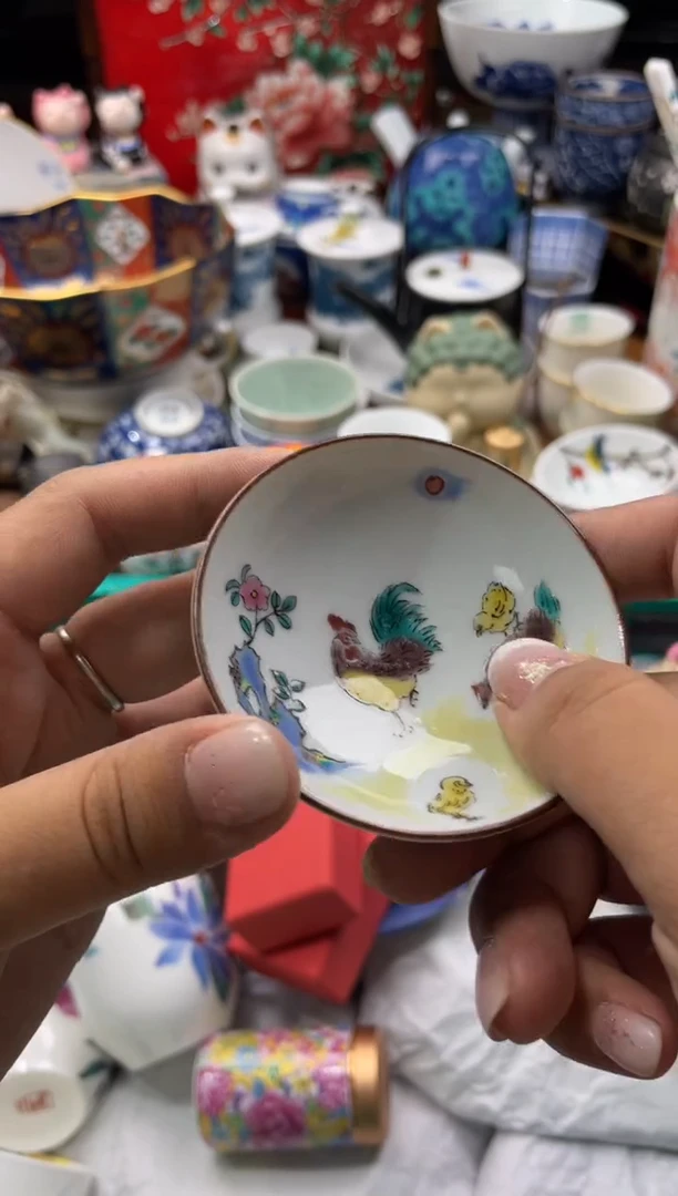 【闪购商品】瓷片欢迎来到胖瓷直播间