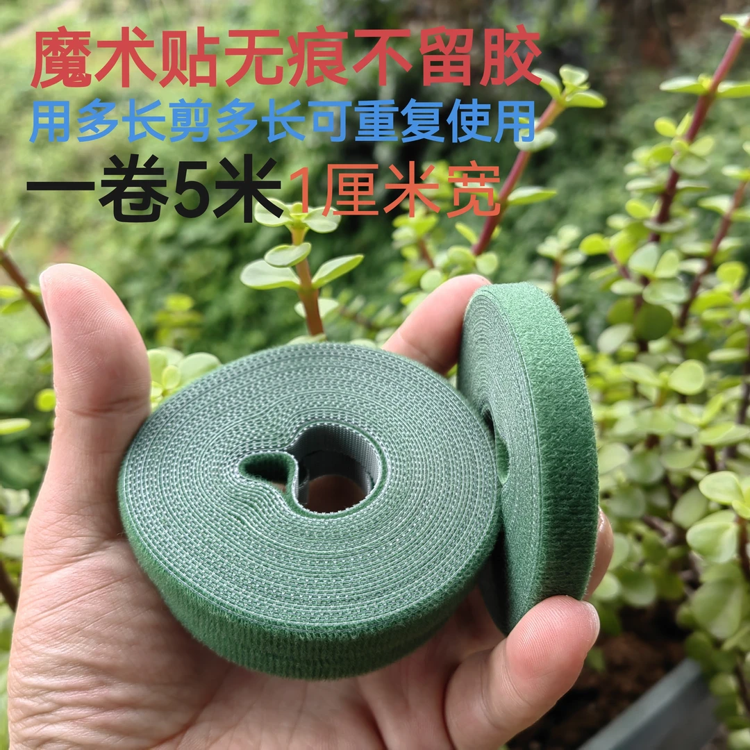 淘不淘器园艺绿植无损捆绑扎带魔术植物贴可重复使用固定造型