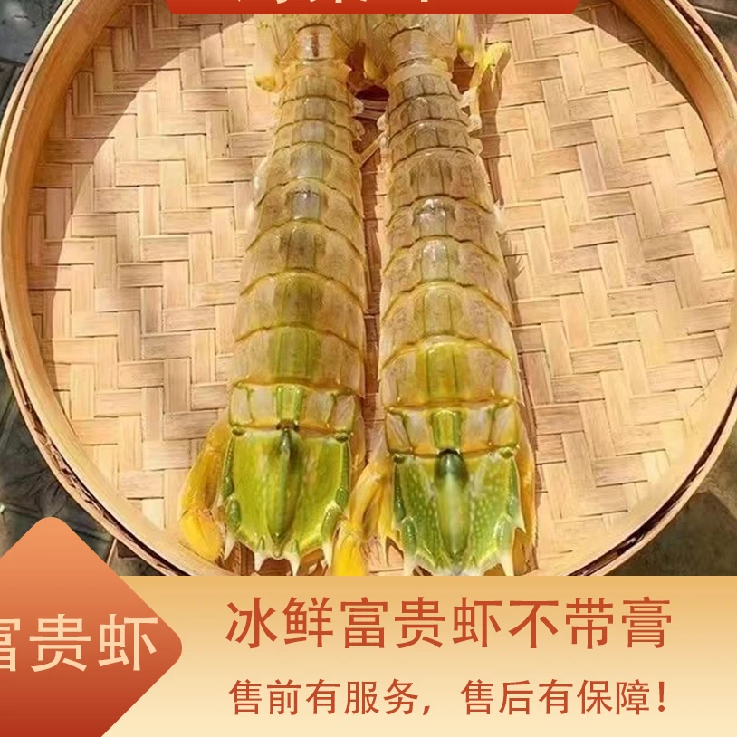 不带膏富贵虾 冰鲜富贵虾特大皮皮虾新鲜非冷冻