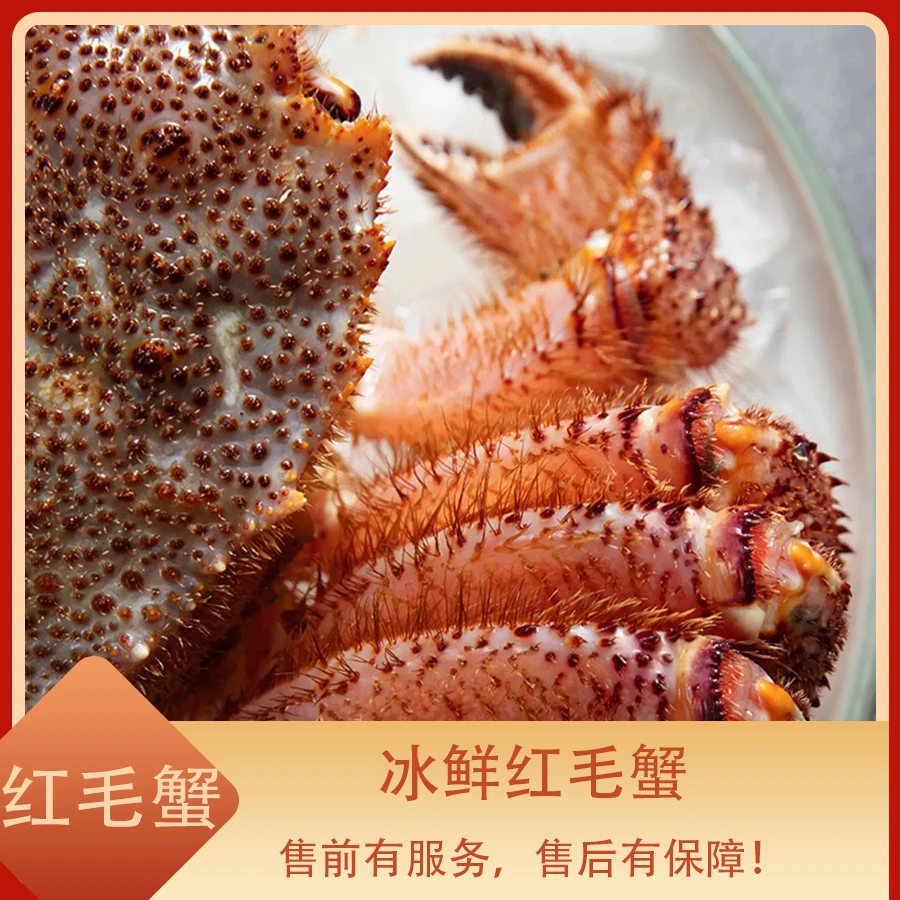 红毛蟹 江浙沪皖压冰发货 部分掉脚【保鲜不保活】其余省份液氮锁鲜