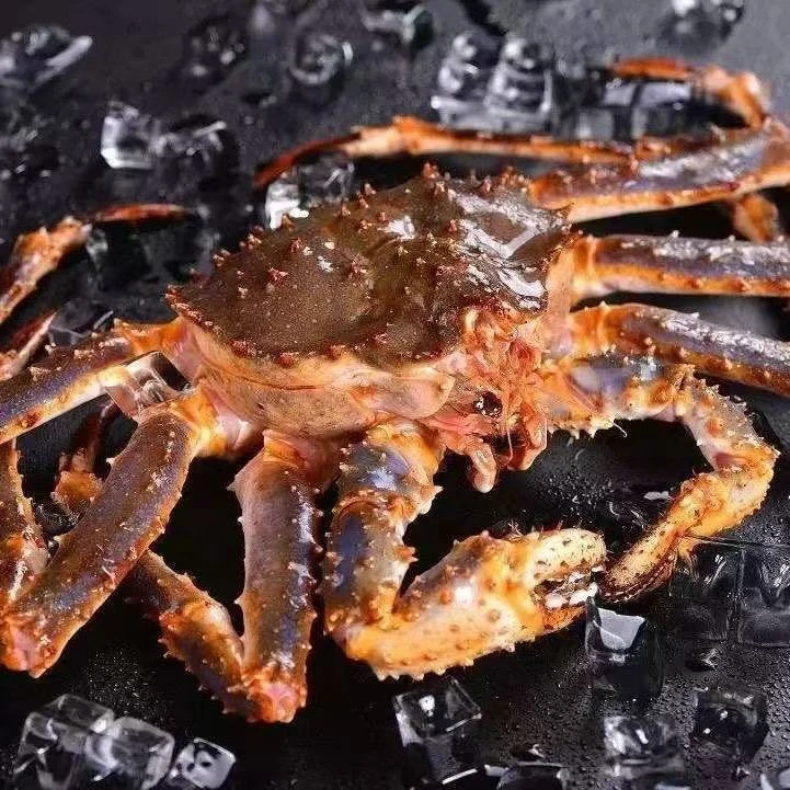 帝王蟹   各种规格新鲜帝王蟹蒜蓉芝士佳品部分掉脚液氮锁鲜发货