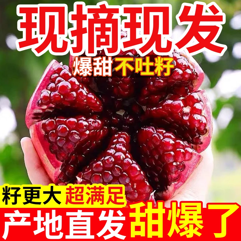 四川会理突尼斯软籽石榴【彩箱 爆甜不吐籽】新鲜孕妇水果皮薄