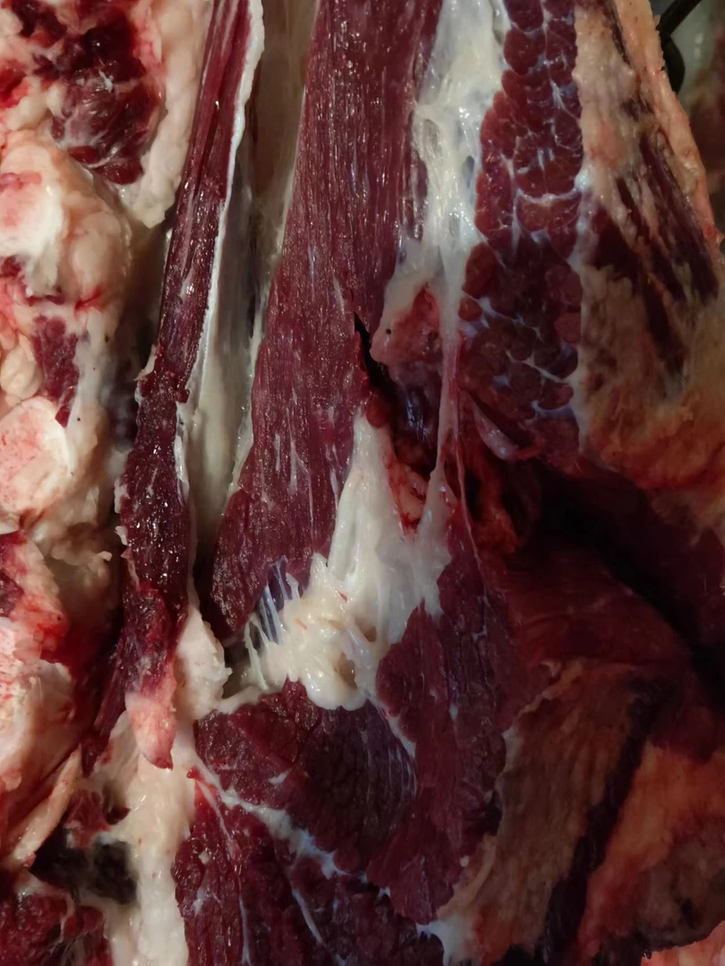 新疆散养黄牛前腿+后腿 5公斤