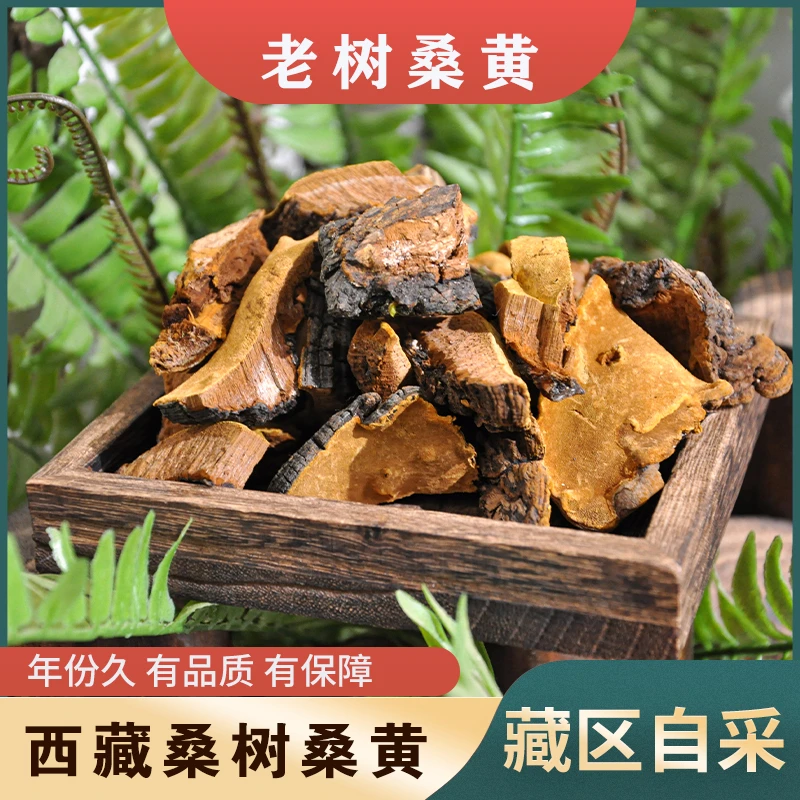 （云）西藏桑黄半斤250克（煮水，煲汤）