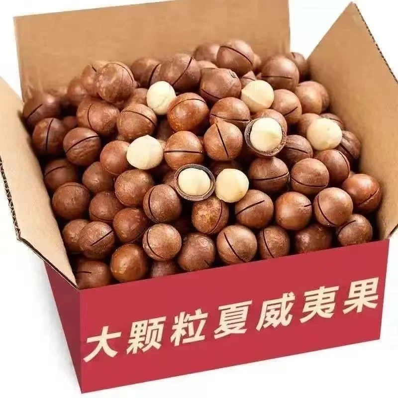 2023新货大颗粒夏威夷果奶油味500g袋装罐装孕妇坚果批发营养20g