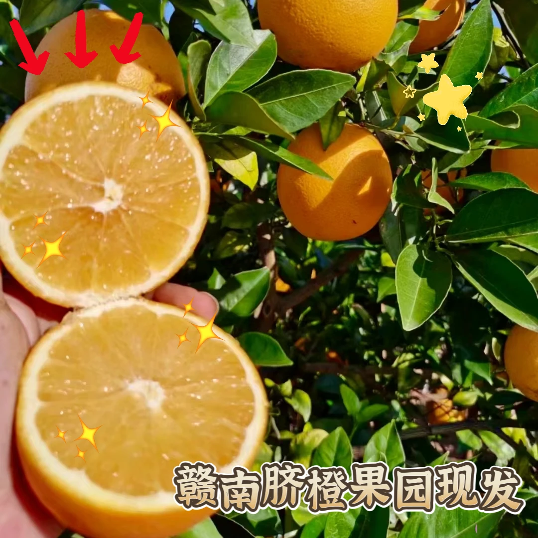 【超值福利】..江西赣南脐橙新鲜农家现摘鲜甜阳光优选 5-10斤包邮