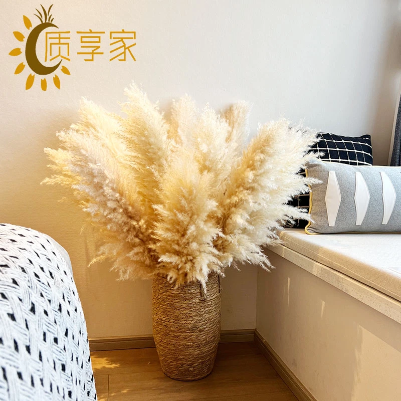 质享家【落地大蒲苇】天然风干真花芦苇加花篮客厅飘窗装饰干花摆件