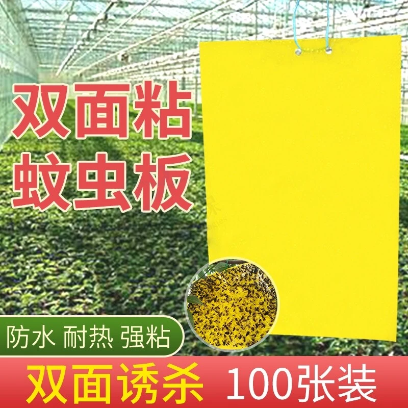 【强力】100张黄板双面粘虫板诱虫板沾虫纸贴黄色沾室内黄粘纸灭虫