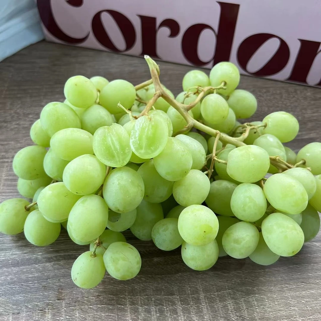 澳洲空运甜地球青提2斤装/3斤当季新鲜进口提子