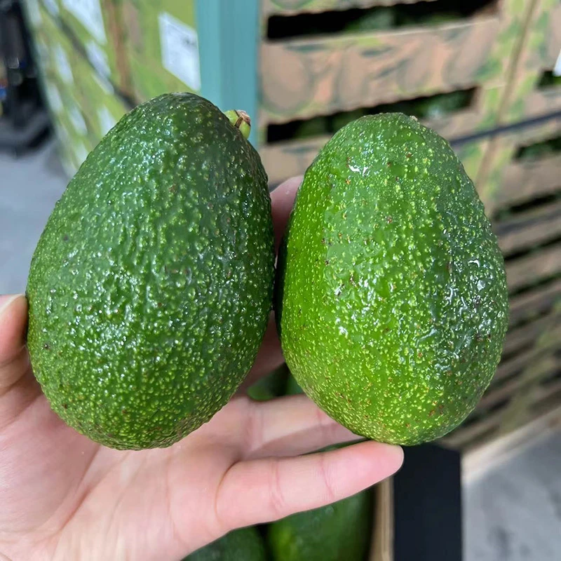 秘鲁牛油果6个装当季新鲜鳄梨牛油果
