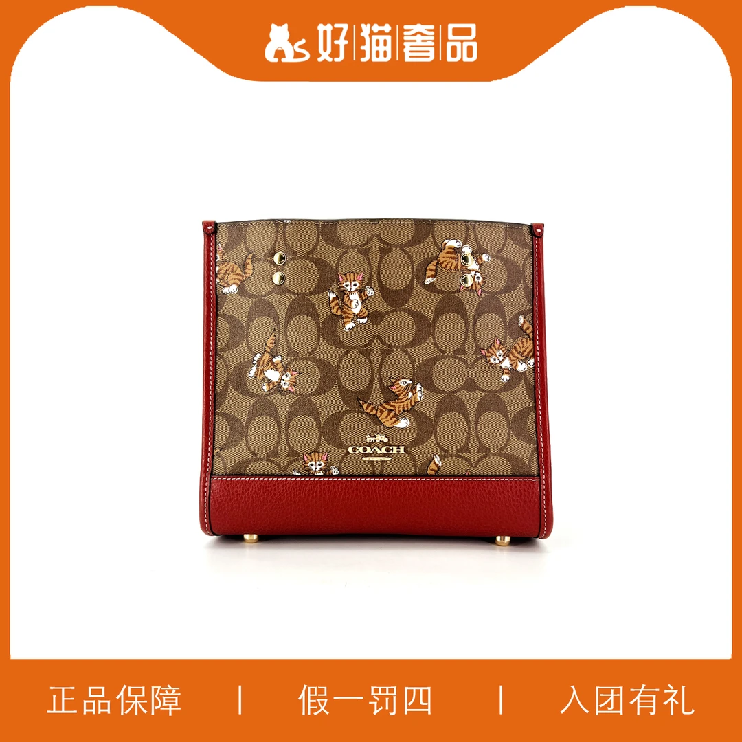 95新 COACH/蔻驰 蔻驰印花方托包/P002/22X20X10