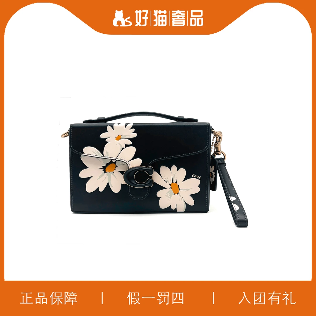 95新 COACH/蔻驰 蔻驰印花盒子/L3169/22X14X5