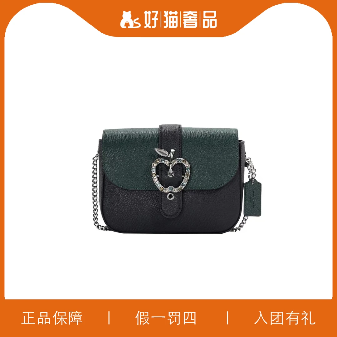 95新 COACH/蔻驰 蔻驰苹果链条包/V0393/18X14X6