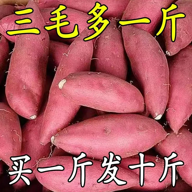 【抢购中】新鲜沙地红薯红心黄心蜜薯地瓜1-10斤番薯蔬菜水果板栗