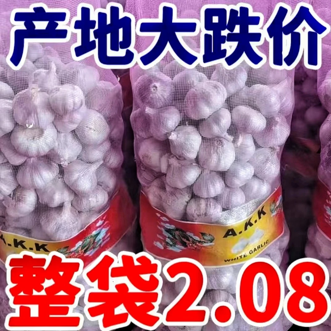 【跳楼价】山东特大紫皮大蒜头正宗优质大蒜新干蒜蒜子批发/1/3/9