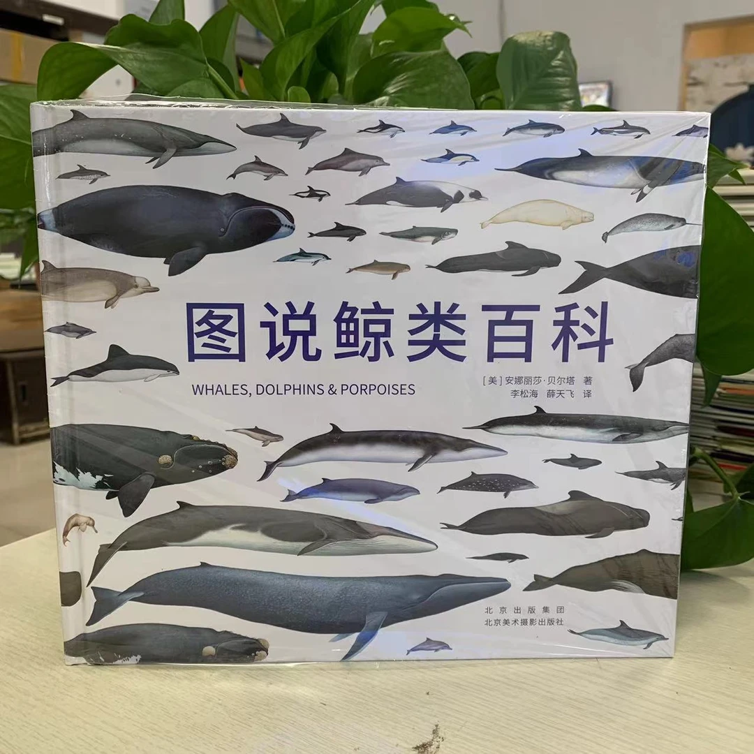 新书--图说鲸类百科9787559204912 北京美术摄影