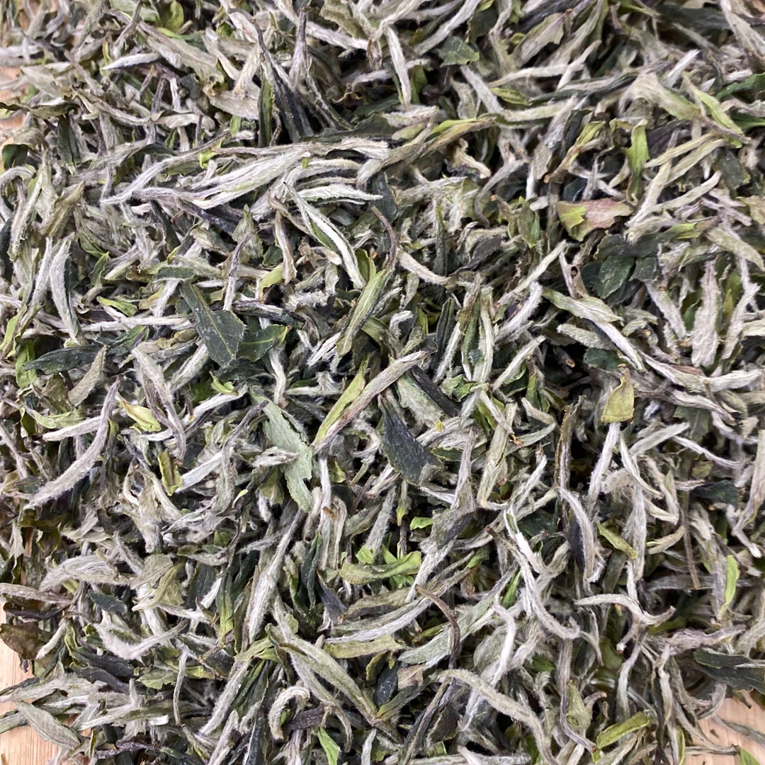 2天发货 2024年大豪白牡丹 茶青-寿宁 一芽一叶为主