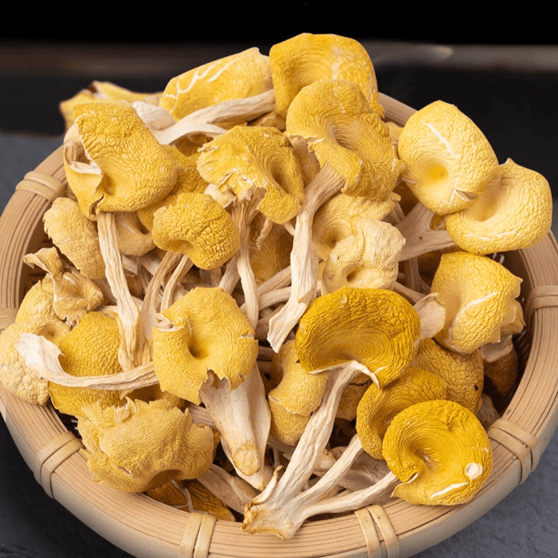 云南鸡油菌干货250g500g黄金菇新鲜菌菇干货可搭枸杞煲汤