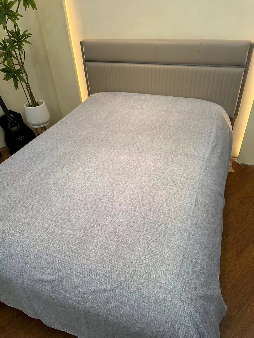 2.4*2.5长绒棉磨毛床单【梦境】