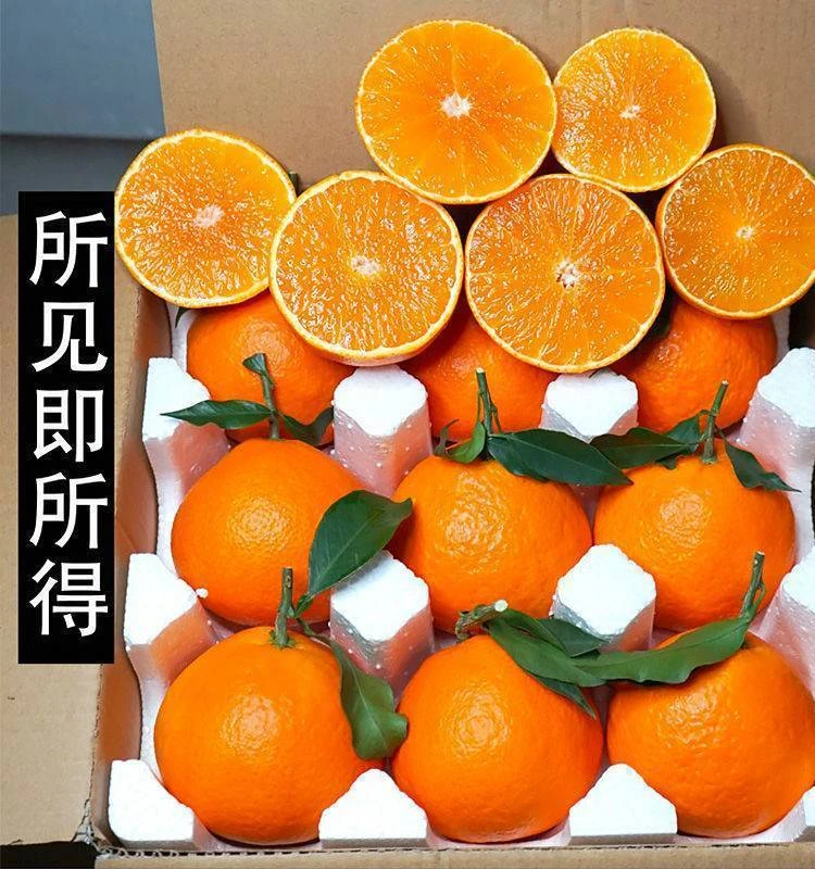 四川爱媛果冻橙皮薄多汁新鲜采摘阳光孕妇水果彩箱爱媛38号果冻橙
