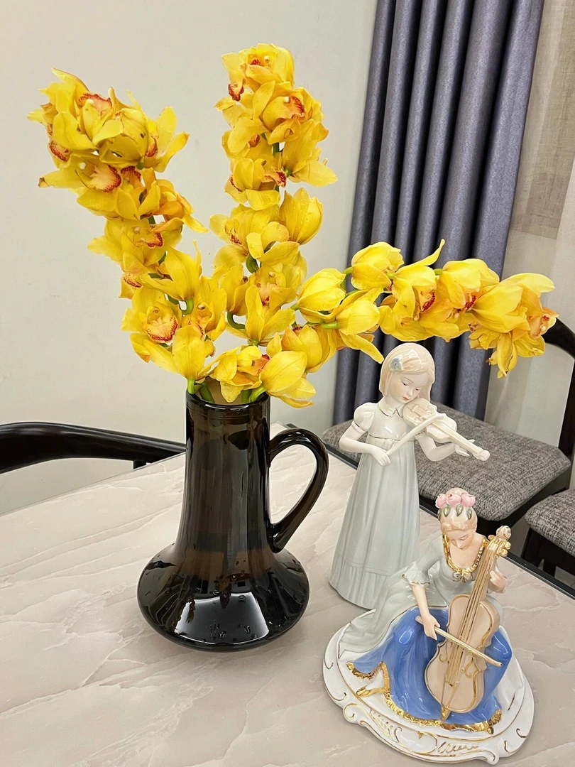 【杨贵妃】年宵花，盆栽，兰花带花苞，秋冬季好养活，送礼好物
