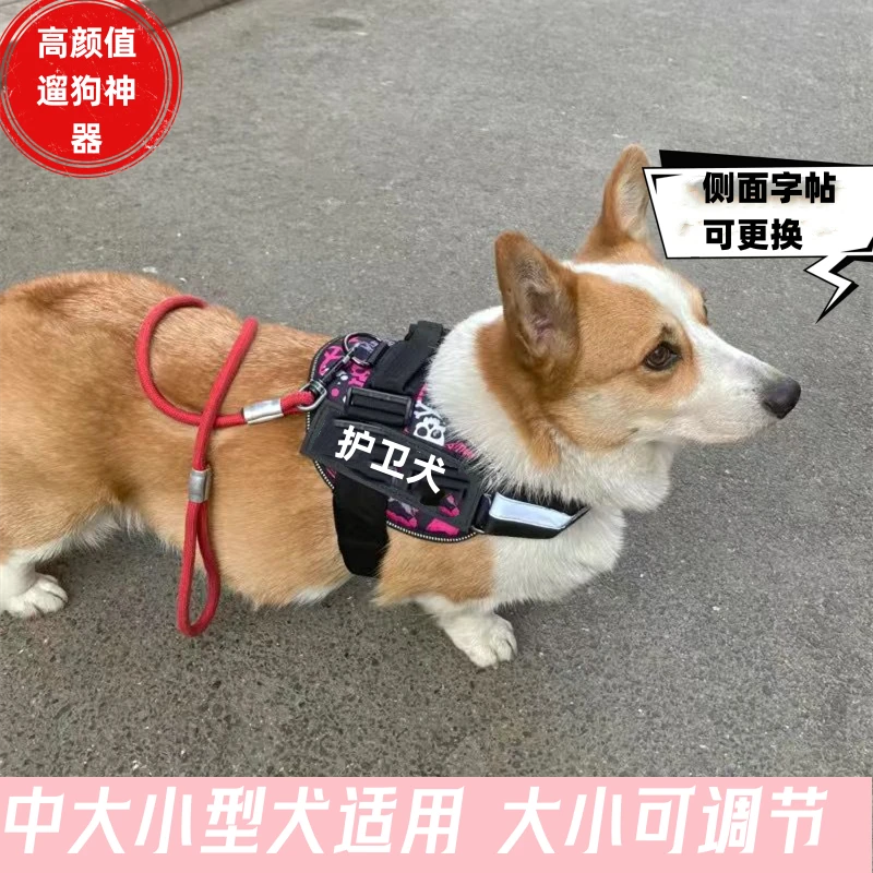 狗狗牵引绳大型犬背心式金毛拉布拉多胸背带中小型犬遛狗绳狗链子