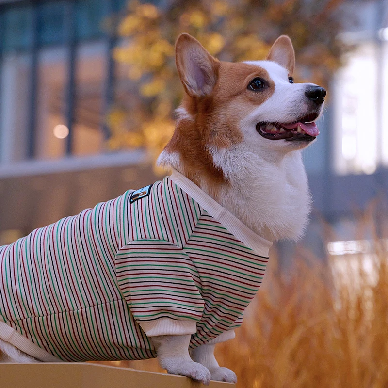 Tiger dog秋冬柯基柴犬狗狗条纹德绒针织T恤卫衣泰迪中小型犬衣服